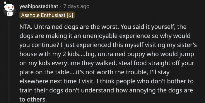 As Someone Who Can Relate, This Is What a Redditor Had to Say About Untrained Dogs