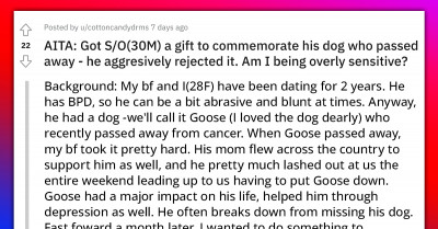 Redditor’s Heart Sinks After Her Partner Aggressively Rejected A Gift To Commemorate His Late Dog
