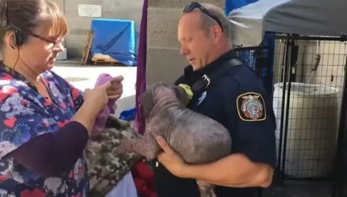 The bond they had formed in their short time together was incredibly strong