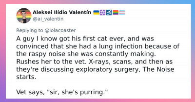20 People In This Twitter Thread Share The Most Absurd And Unnecessary Vet Visits