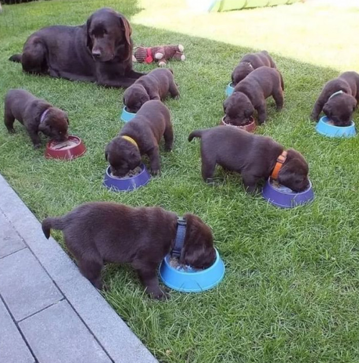 15. "Grow big and strong, my children."