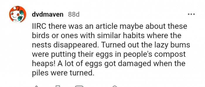 A similar article where many eggs were damaged when the piles were turned