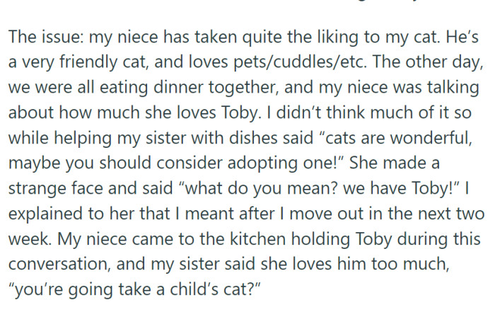 The issue: her niece fell in love with the cat