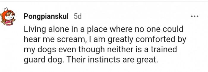 17. I am greatly comforted by my dogs