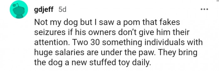 16. This dog fakes seizures