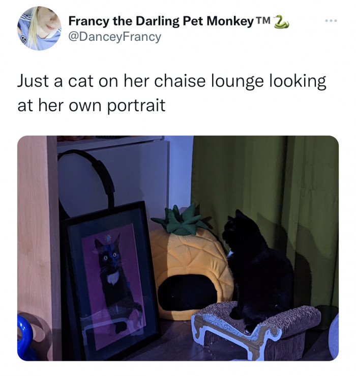 11. "Look at me; aren't I the prettiest creature on this godforsaken planet?"