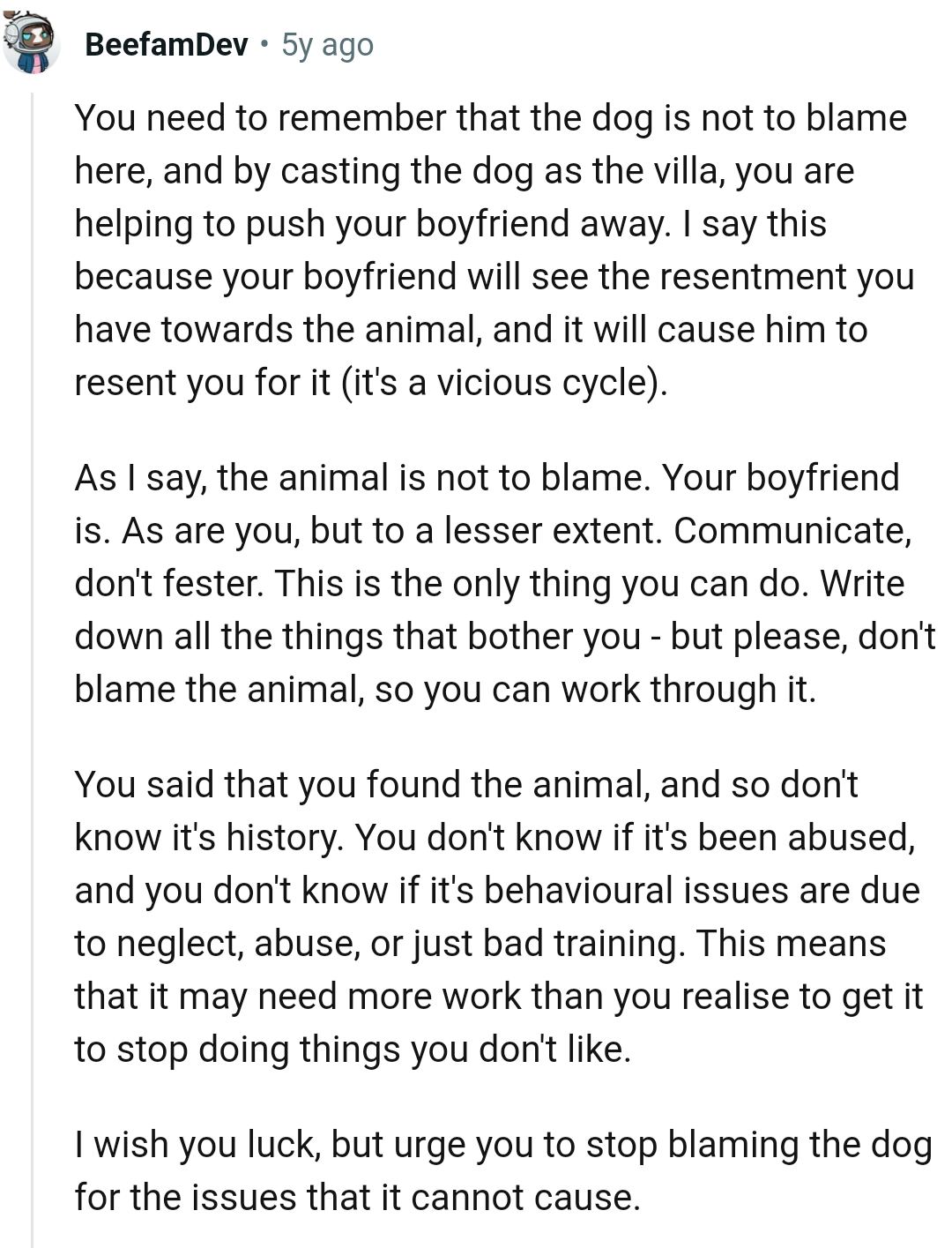 OP should stop blaming the dog