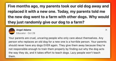 Kid Asks People To Weigh In About What Happened To Their Family Dog After Their Parents Said They Took It To A Farm