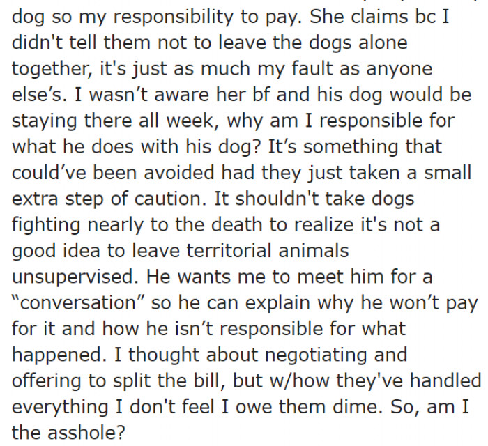 It's common sense not to leave dogs who are strangers to one another unattended.