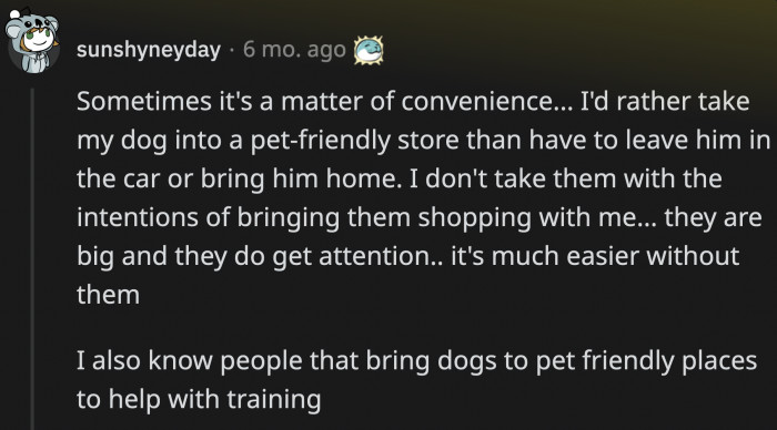 Bringing their dog to pet-friendly places is a matter of convenience and a training tool for some pet owners