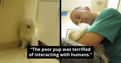 Inspiring Story of Man Rescuing Dog One Hour Before Her Scheduled Euthanasia