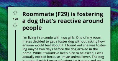 Lady Seeks Help Online As Her Roommate Went Ahead To Foster A Dog That's Reactive Around People Without Her Knowledge