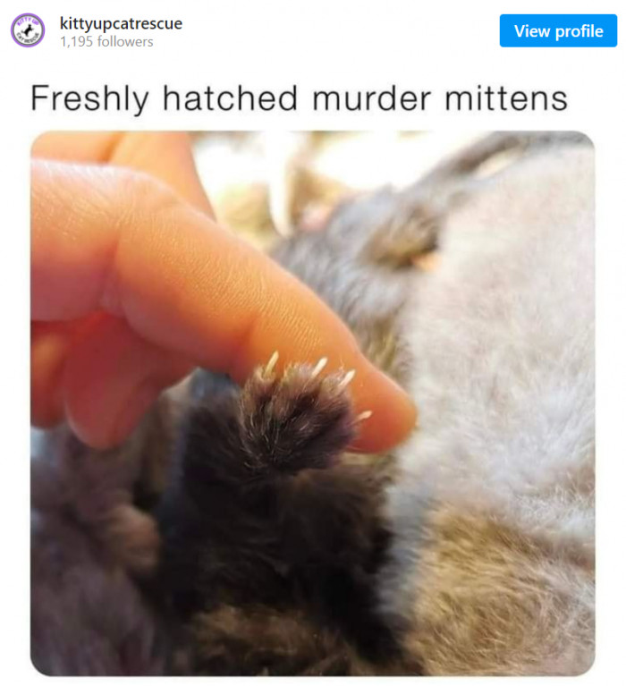 11. Beware of the potential of murder mittens