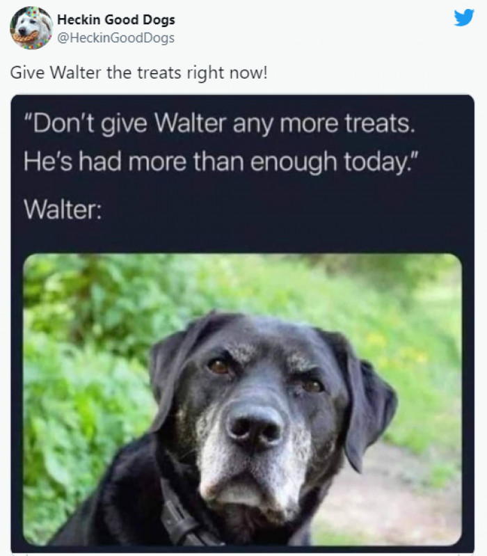 2. Such an expressive face