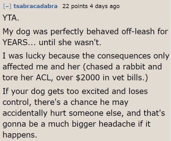 A Dog Owner Who Learned Their Lesson Shared Their Experience.