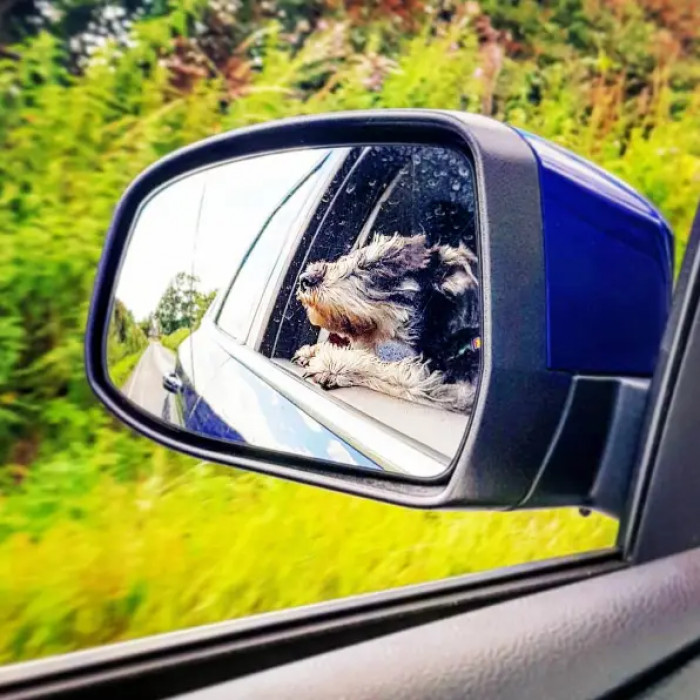 9. “Taking a ride with my homies.”