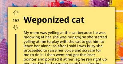 Redditor Gets Revenge On Mom By Putting Laser Pointer On Her So Cat Would Run Towards Her
