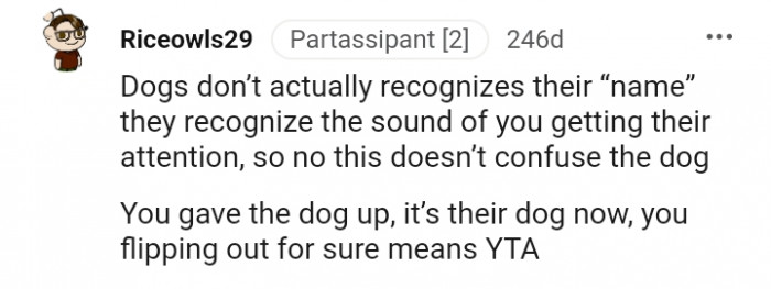 19. No, this doesn't confuse the dog