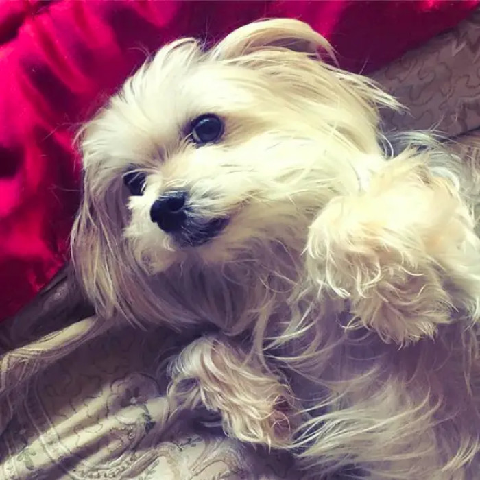 20. My widdle little friend says hello to you all