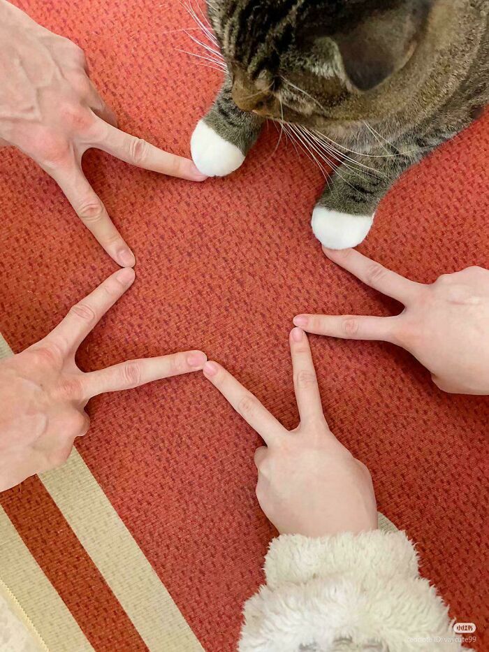 Purrfect Circle Time