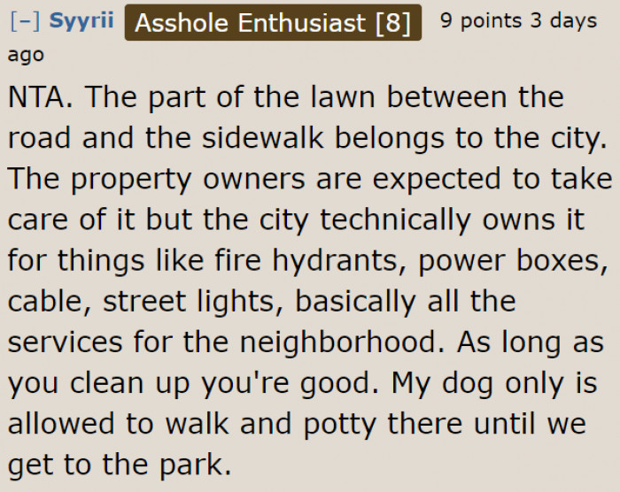 Technically, she did not harm city property because she cleaned up after her dog pooped.