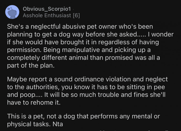 OP's roommate is a neglectful, abusive pet owner.