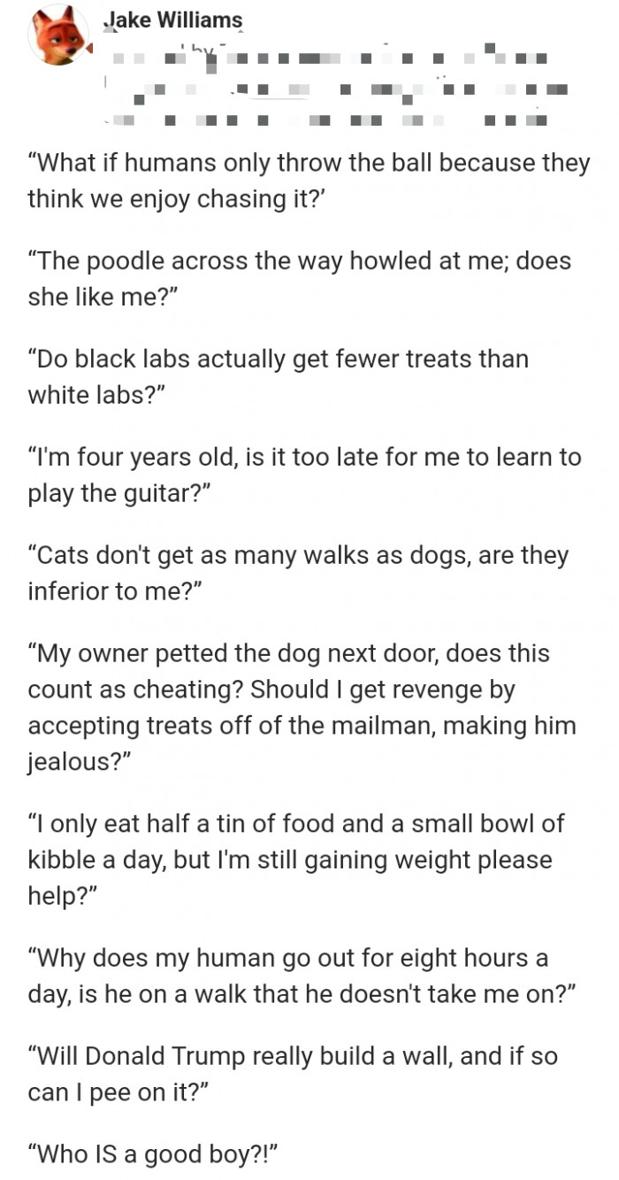 1. Who is a good boy?