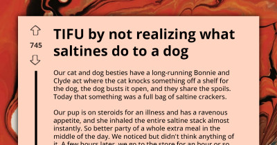 Dog Inhales Whole Bag Of Salties, Owner Left To Deal With Soft-Serve Po* In New Living Space Afterward