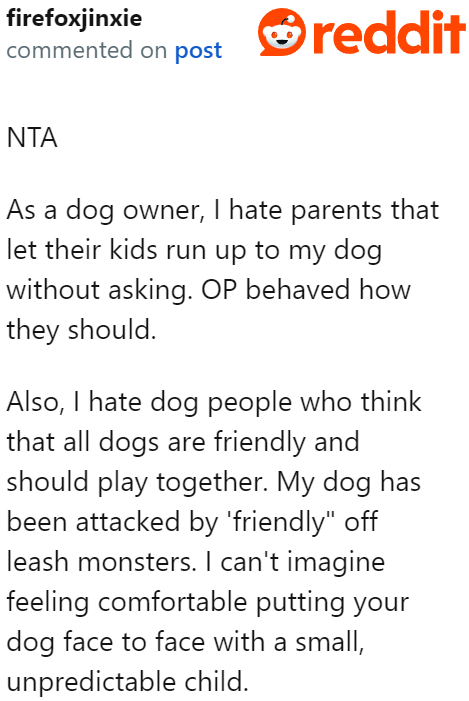 Even dog owners wouldn't want another dog suddenly approaching them.