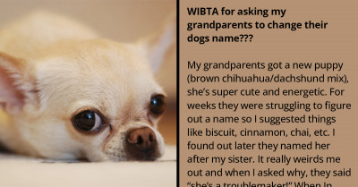 Furious Redditor Can’t Believe Grandparents Named Their Dog After Her Sister