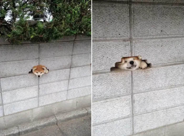 11. You will always find yourself asking, "Why? How?" into thin air.