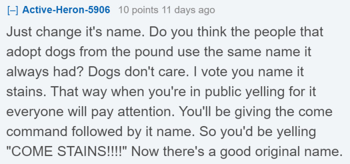 Dog owners can always change their pet's name.