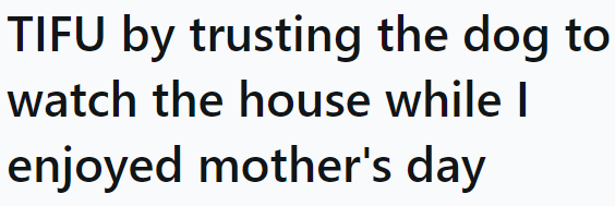 The OP entrusted her house to their dog, but...