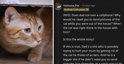Cat Owner Finds Out Her Dad Is Trying To Rehome Her Cat Without Her Knowledge While She Was Away To Visit Her Mom