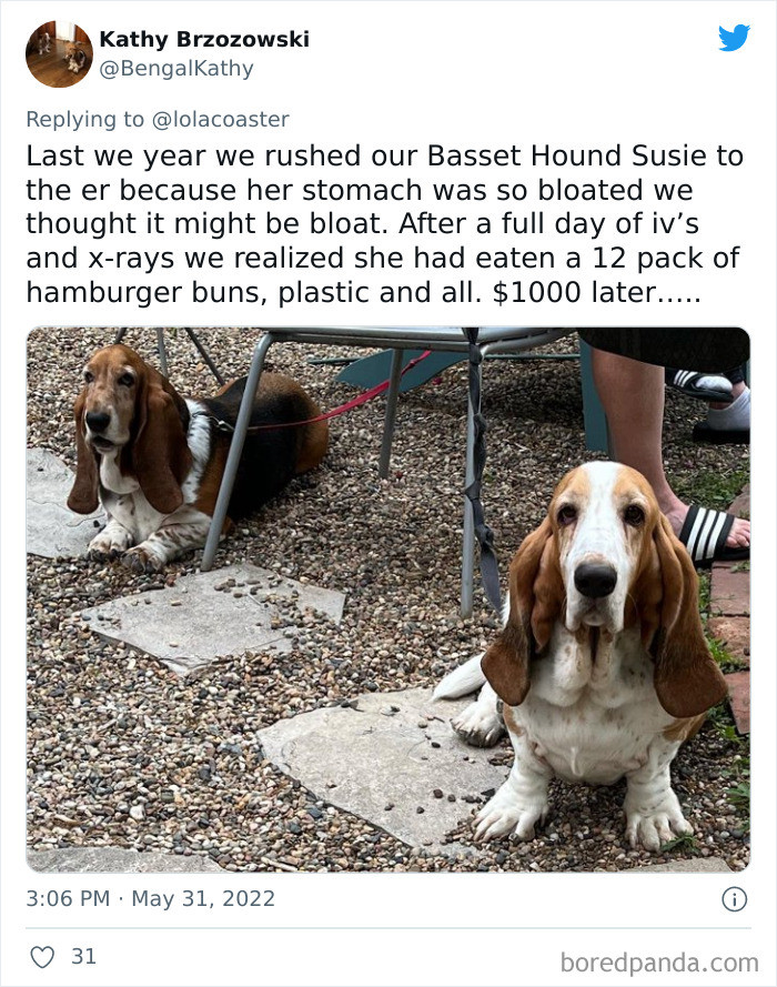 8. We love some hamburger buns