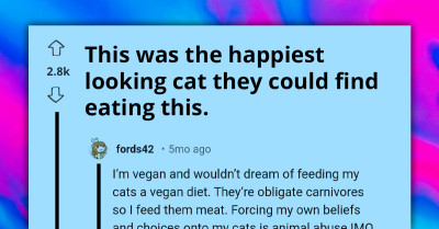 20 Times People Online Reacted To Vegan Cat Food Which Has An Angry-Looking Cat As Its Model