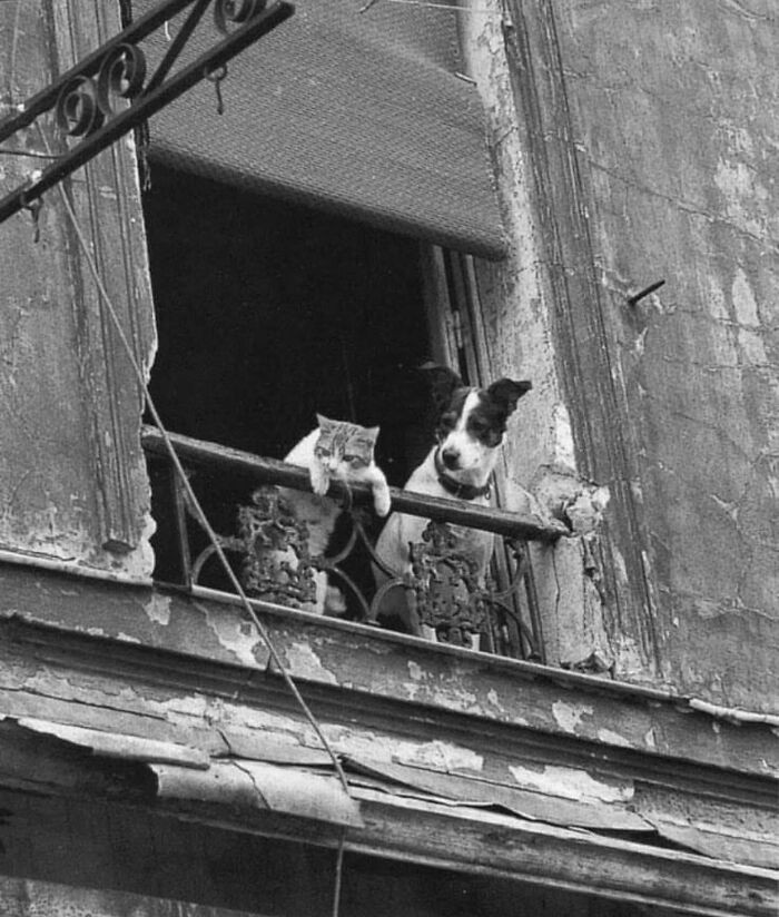 Just two best friends sharing their favorite view of the world