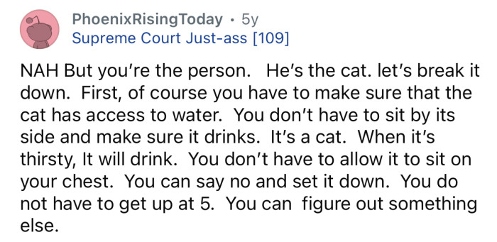 “You’re the person, he’s the cat.”