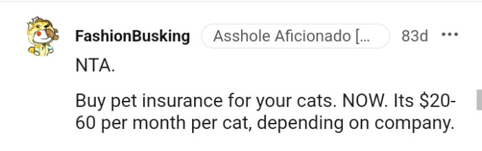 Buying pet insurance for your cats