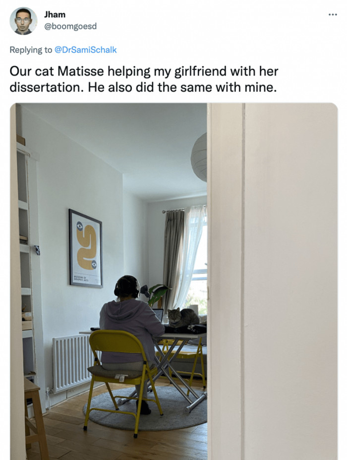 2. Matisse isn’t about to leave any research project undone