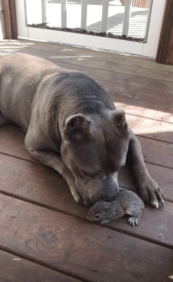 The bond between a mother and her child is one of the most beautiful things in life