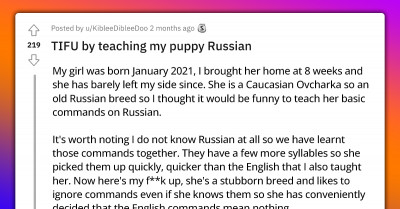 Dog Owner Asks Reddit If They Messed Up By Teaching Their Dog Russian