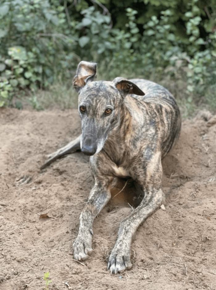 9. "Who are you looking at?"