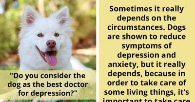 Online Community Shares Their Thoughts On Whether Dogs Can Be Considered The Best Doctors For Depression