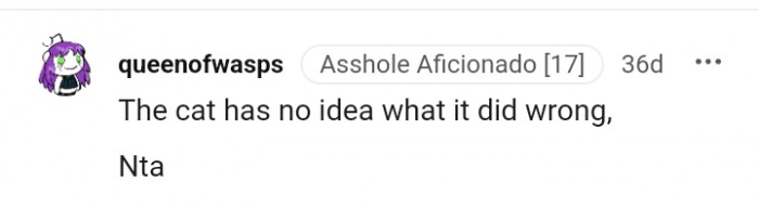 The cat clearly has no idea it did something wrong