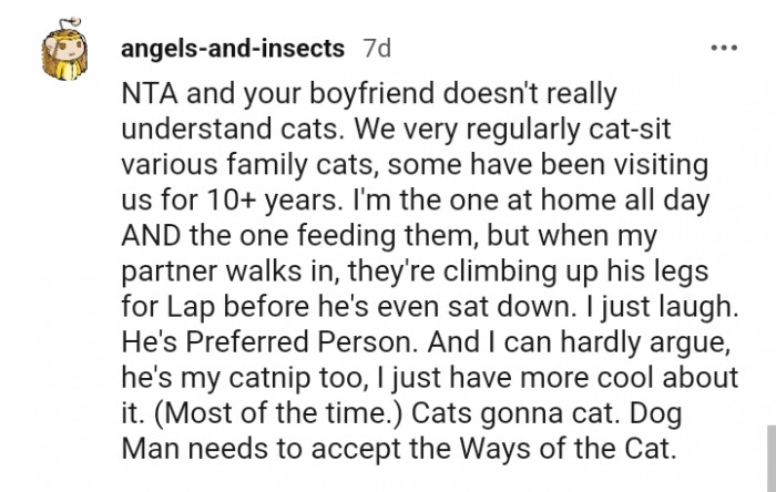 Your boyfriend doesn't really understand cats