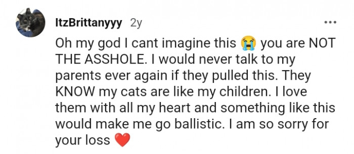 This Redditor loves cats with all of their life