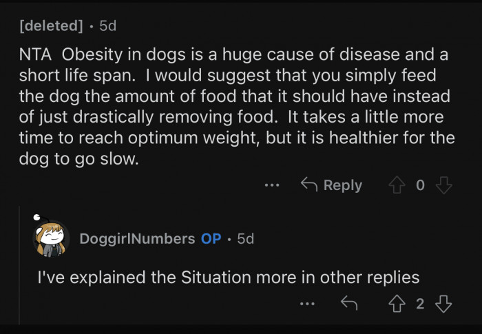 Dog obesity is a huge cause of disease.
