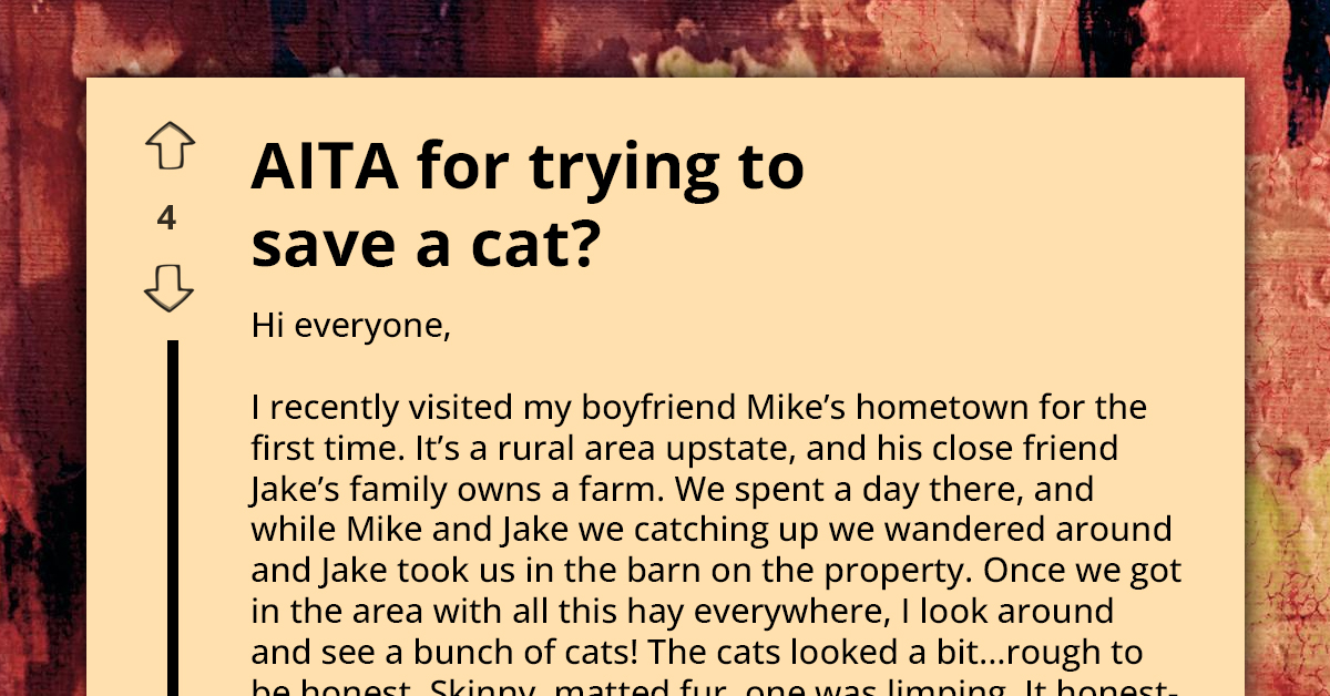 Urban Woman’s Attempt To ‘Rescue’ Barn Cat Leads To Unexpected Showdown With Boyfriend