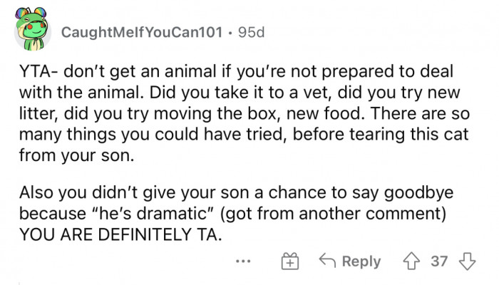 There were so many other options before giving the cat away to someone especially without letting the son say goodbye.